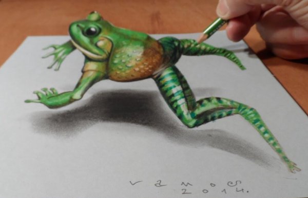 Лягушка рисунок маркерами