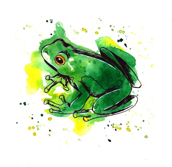 Милые рисунки лягушек для срисовки