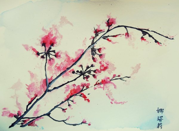 Ветка Сакуры красками