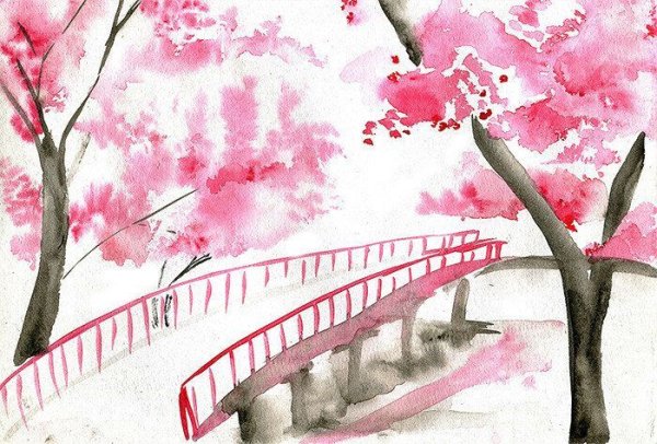 Сакура акварельными карандашами