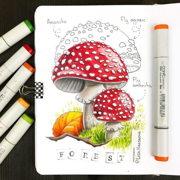 Идеи для рисования легкие