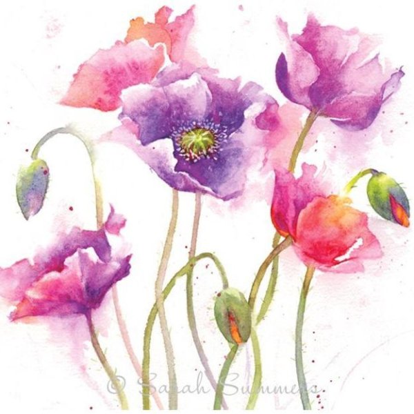Рисование для начинающих цветов акварелью