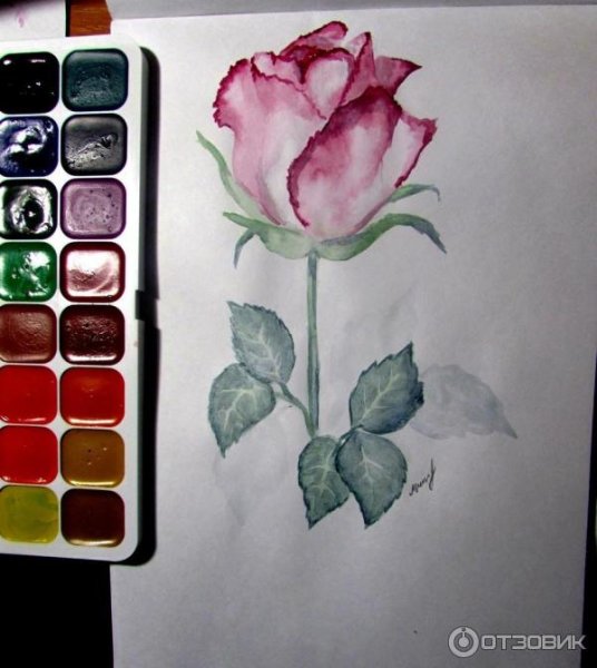 Медовая акварель рисунки