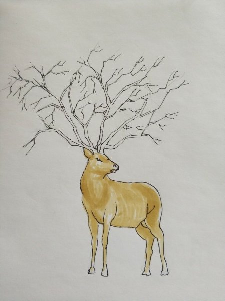 Олень карандашом