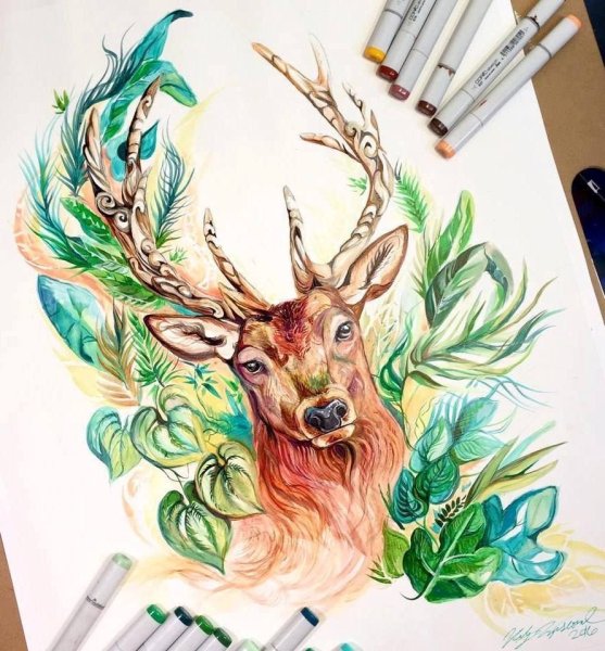 Кэти Липскомб олень