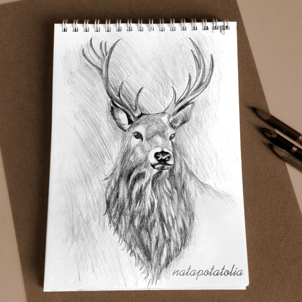 Олень скетч маркерами