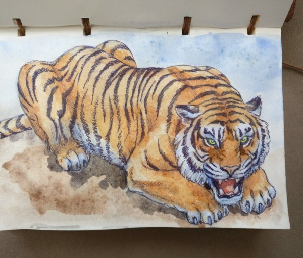 Тигр фломастерами