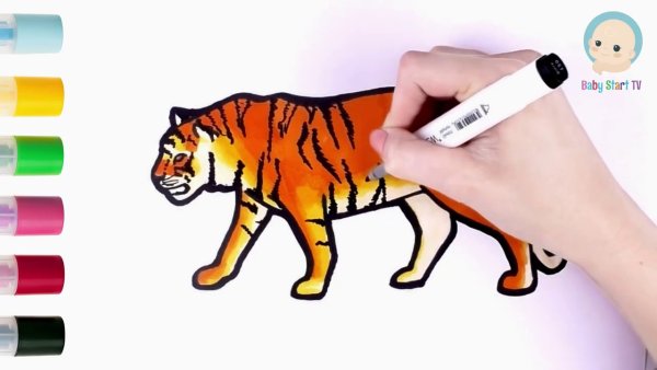 Рисунки маркерами тигр