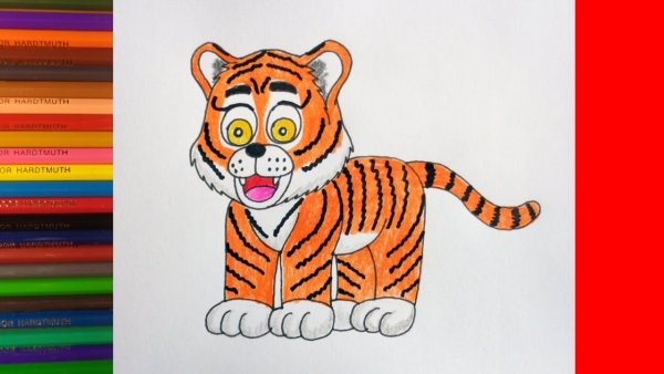 Уроки рисования тигра