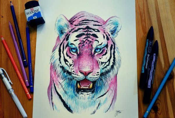 Тигр фломастерами