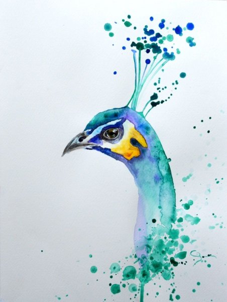 Животные акварелью для начинающих