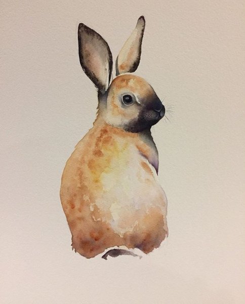 Зарисовки животных акварелью