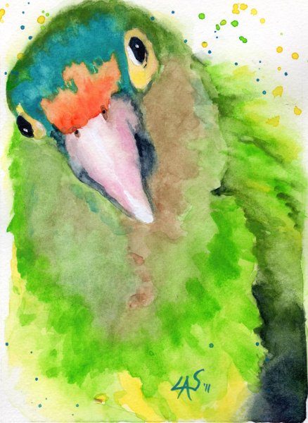 Рисунки акварелью