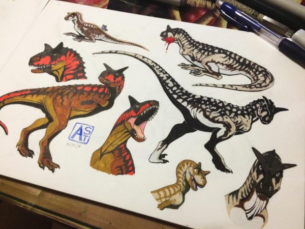 Забавные скетчи