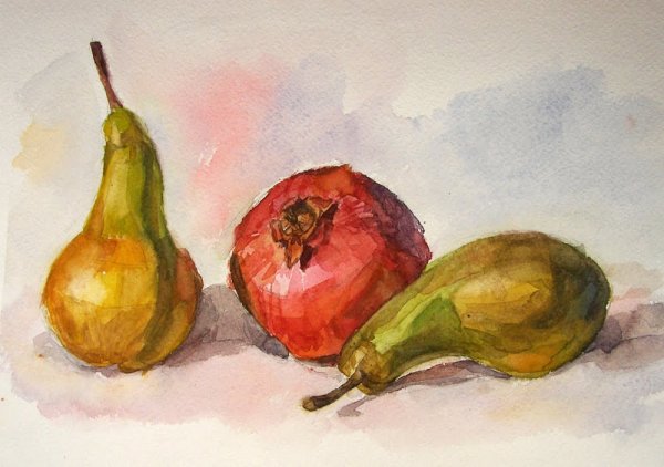 Груша акварелью Андрияка