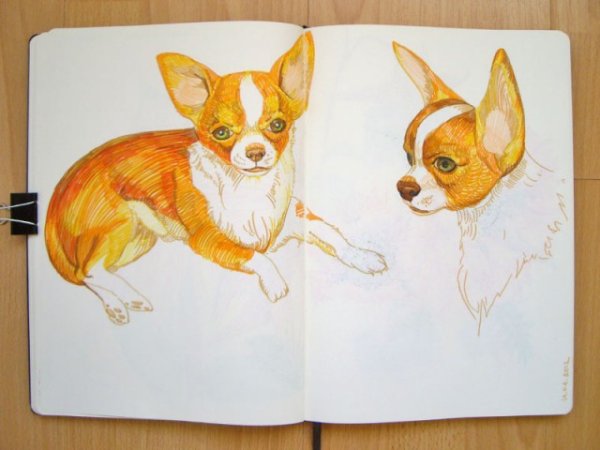 Собаки маркерами рисование