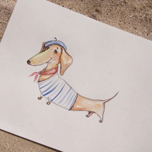 Скетчинг такса