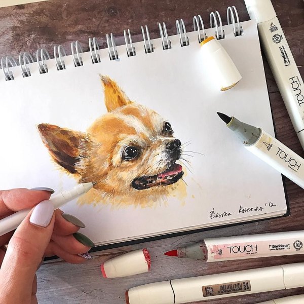 Животные маркерами