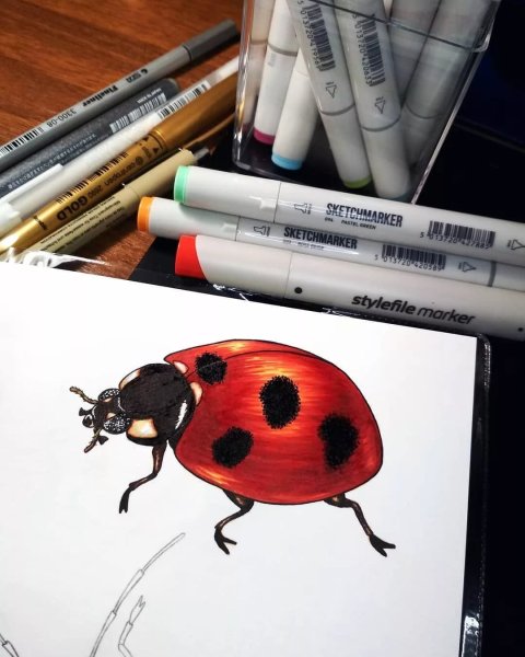 Портрет Фрида маркерами Copic