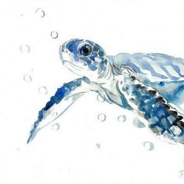 Зарисовки акварелью морские обитатели