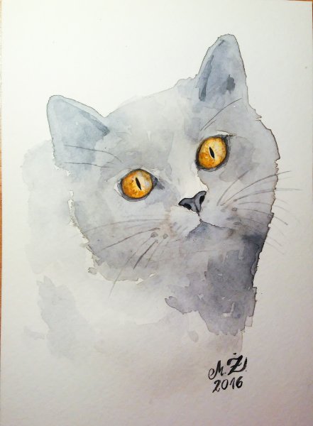 Серый кот акварелью