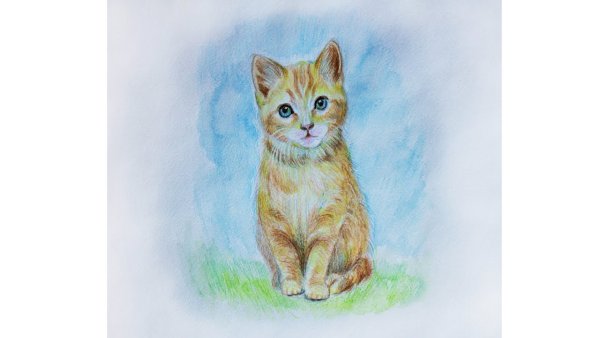 Рисование акварельными карандашами для начинающих