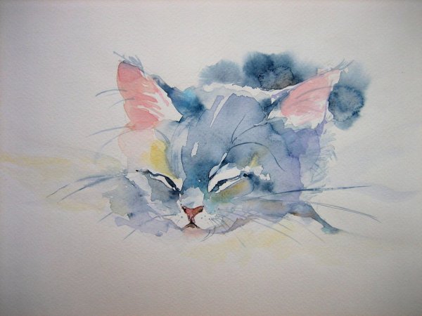 Акварельные коты