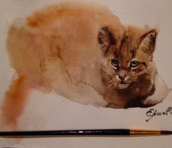 Кот акварельными карандашами