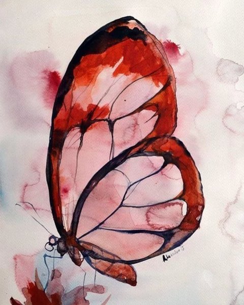 Этюд бабочки акварель