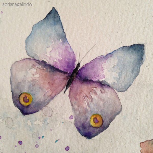Бабочки живопись акварелью