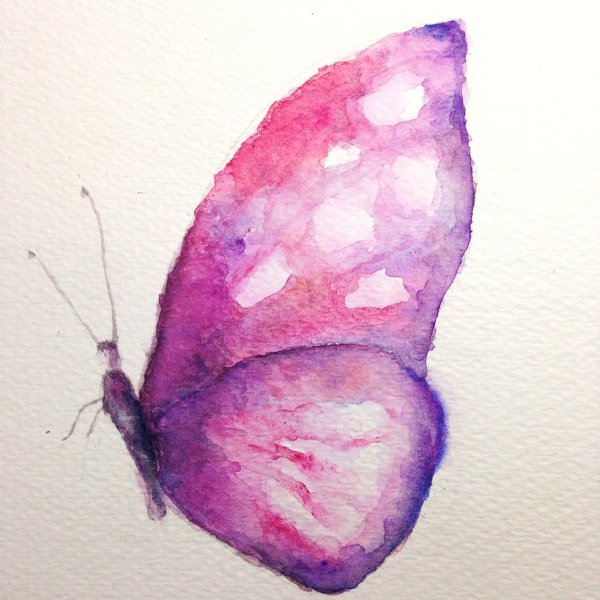 Акварель "бабочка"