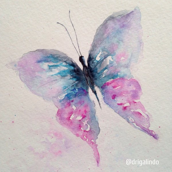 Бабочка гуашью
