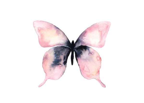 Бабочки живопись акварелью