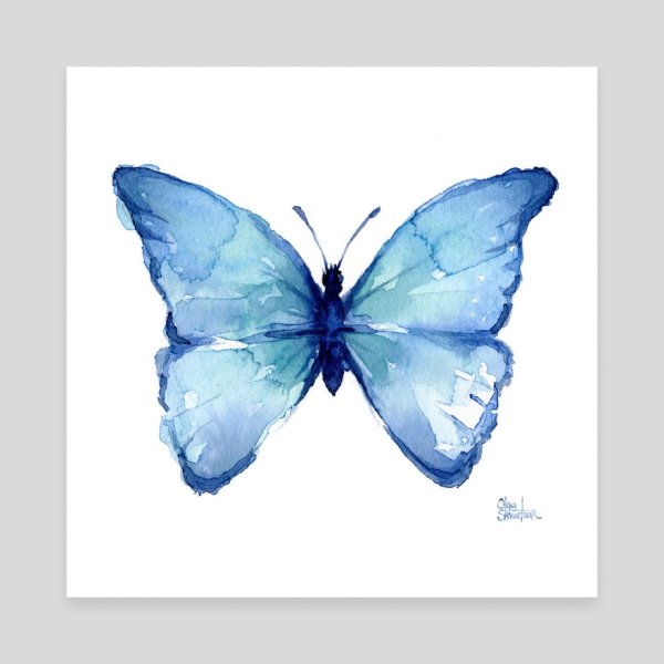 Бабочки акварелью для начинающих