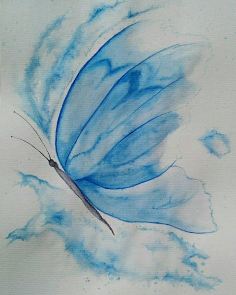 Нарисовать бабочку красками