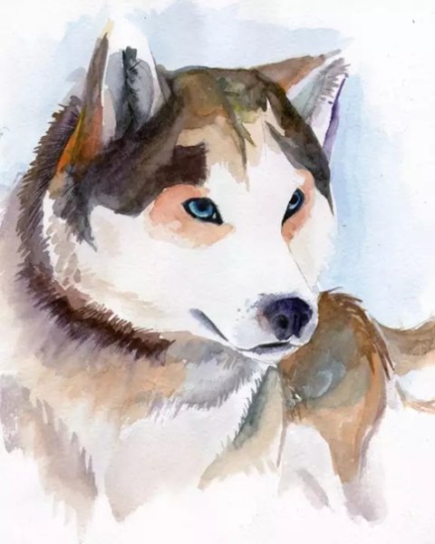 Животные акварелью легкие