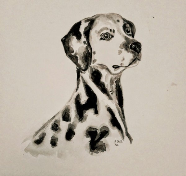 Рисунок собаки акварелью легко