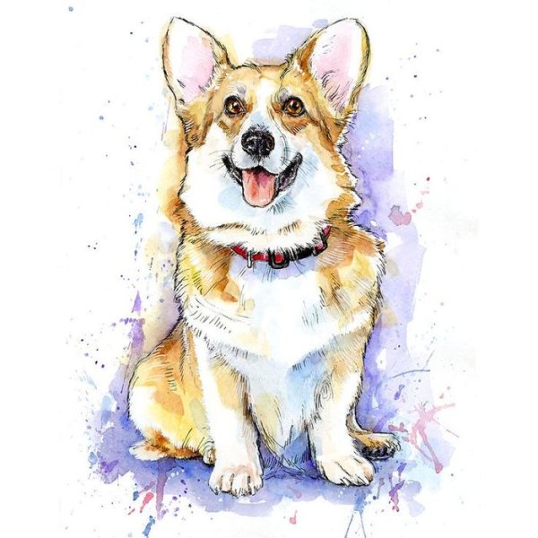 Корги акварелью