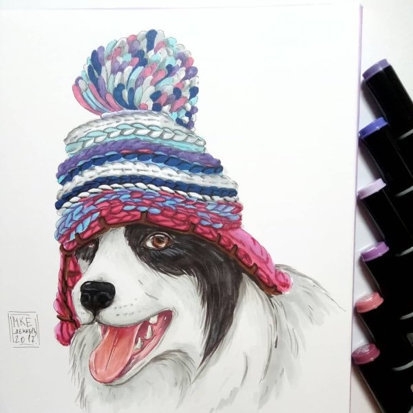 Собака фломастерами