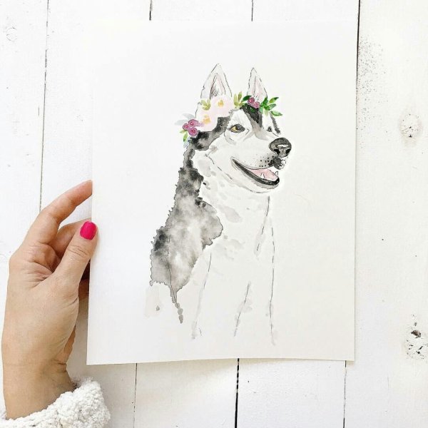 Красивые собаки для скетчбука