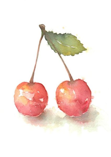 Акварельная вишня