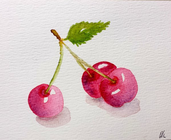 Вишня акварелью