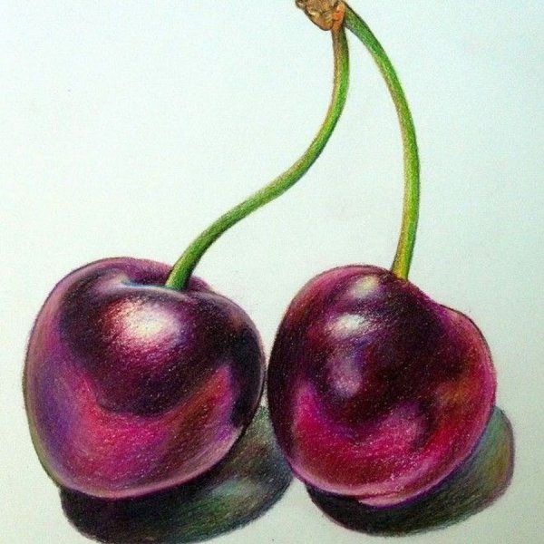 Фрукты цветными карандашами