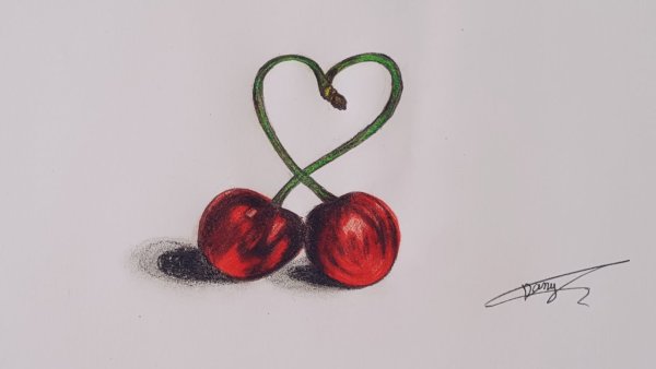 Вишня рисунок на бумаге