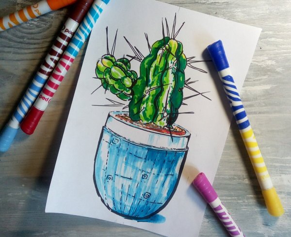 Кактус фломастерами