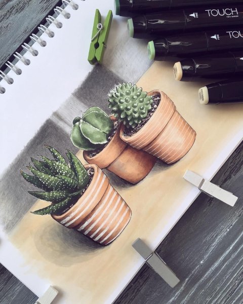 Кактус скетч маркерами