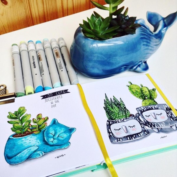 Суккуленты скетч маркерами