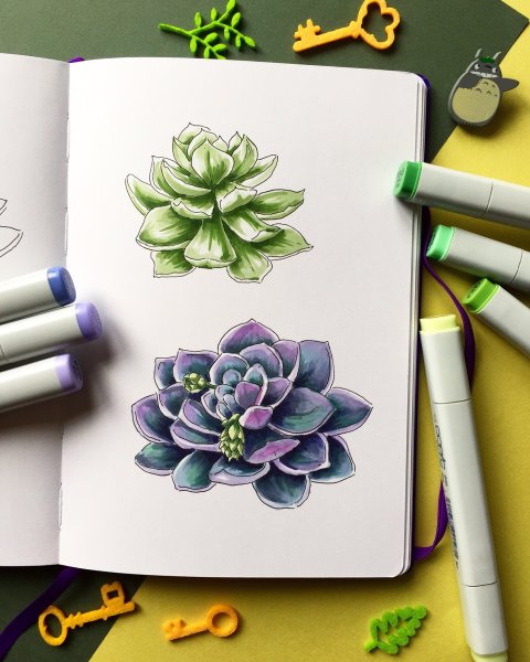 Кактус скетч маркерами