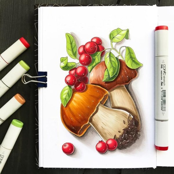 Рисунки маркерами Лиза Краснова