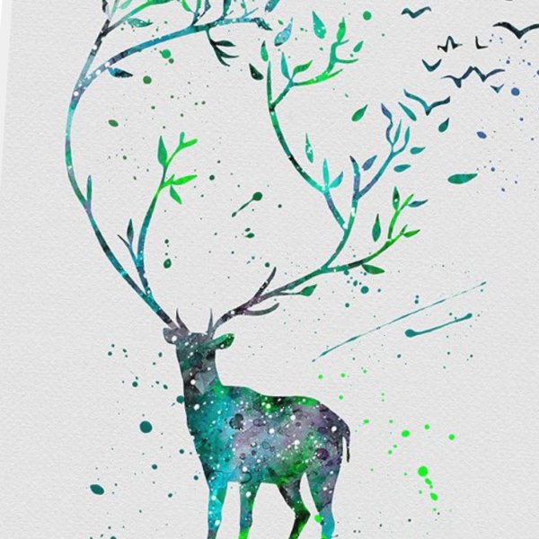 Картинки оленя для срисовки